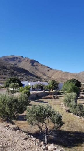 Níjar has been described as one of the most picturesque towns in the whole of Spain. A visit to Níjar guarantees the traveller a flavour of the ‘real’ Andalusia without the need to overspend on the tr